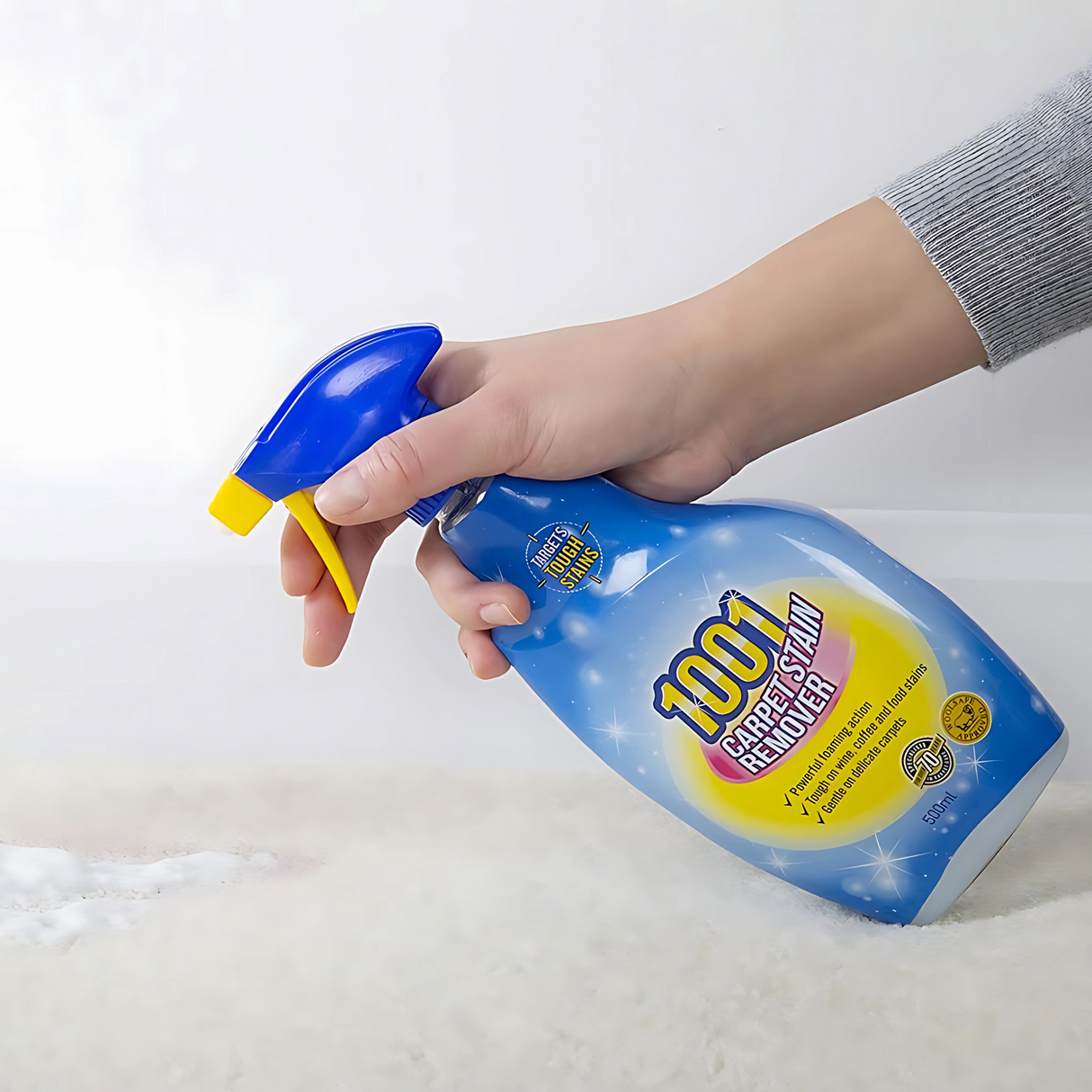 1001 Carpet Stain Remover 500ml – Trigger Spray