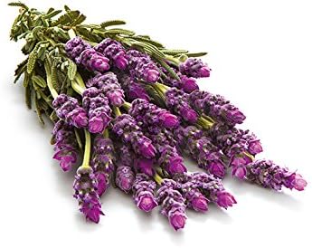 Glade Solid Gel Lavender Air Freshener 150g