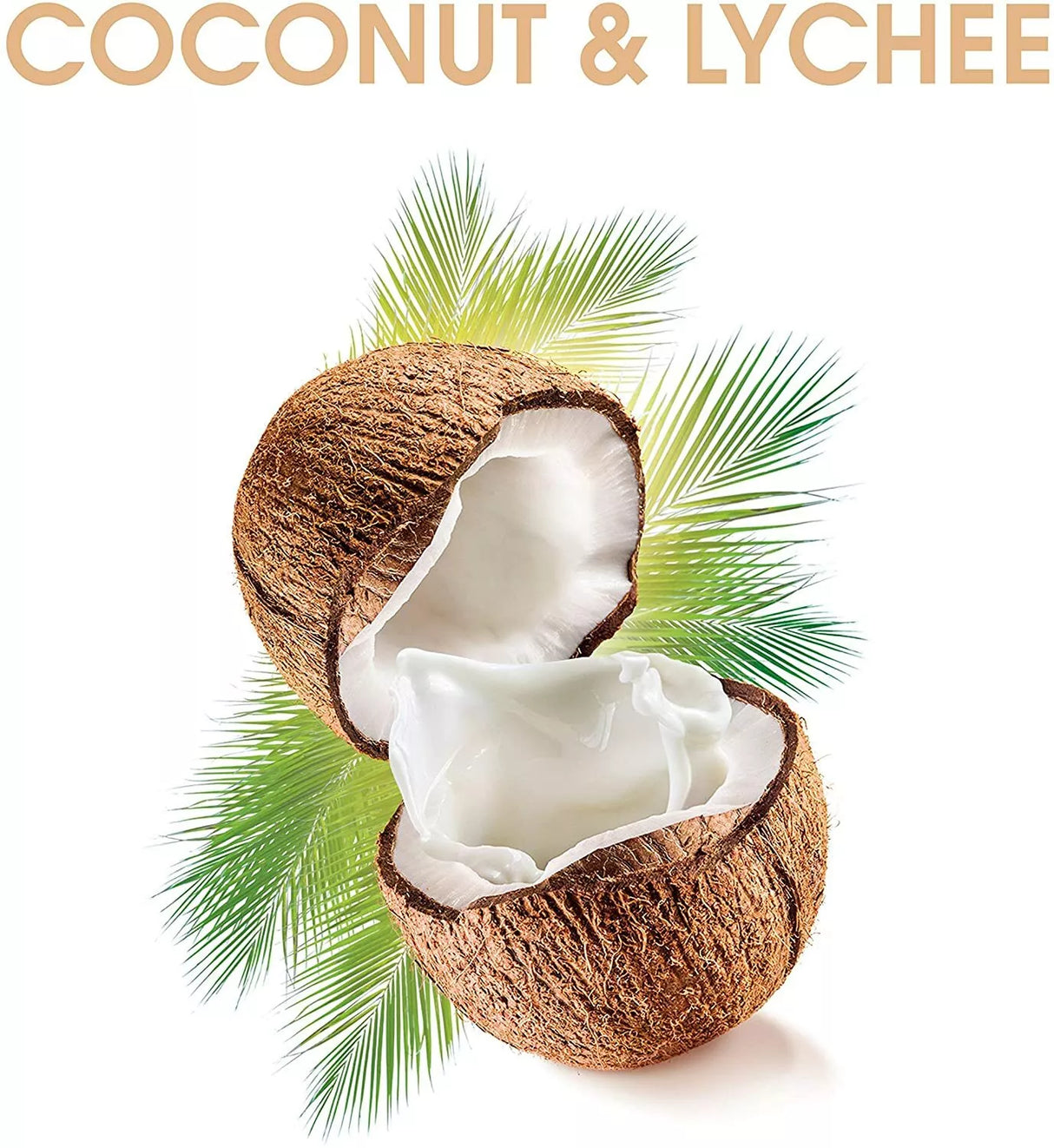 Alberto Balsam Coconut & Lychee Nourishing Shampoo 350ml