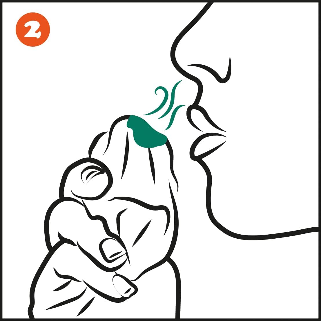 Olbas Oil Inhalant Decongestant 12ml