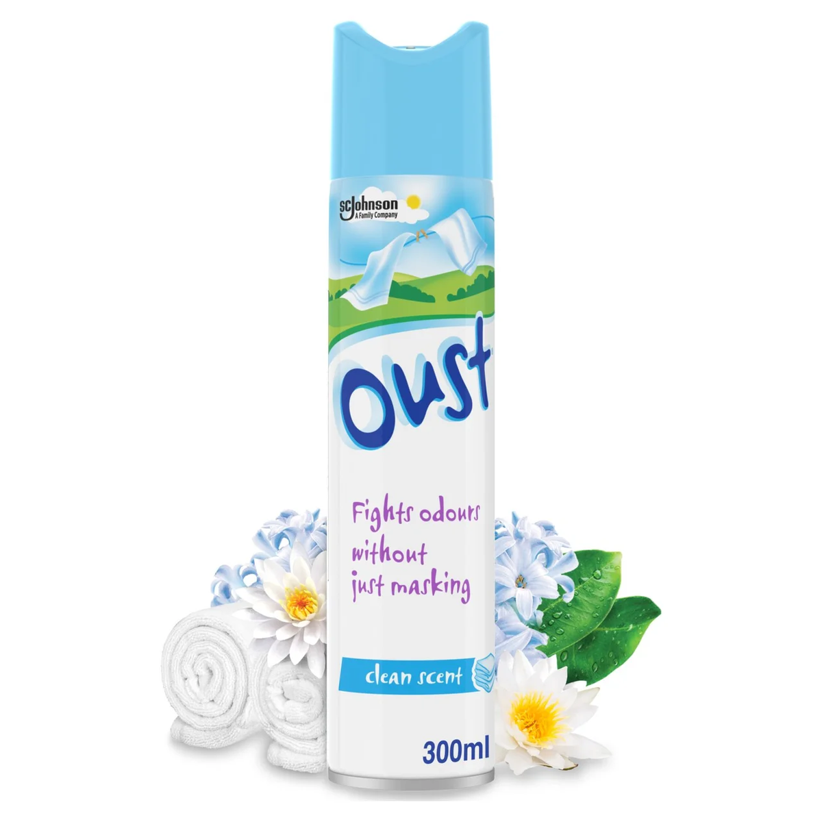 Oust Odour Eliminator Clean Scent Air Freshener 300ml