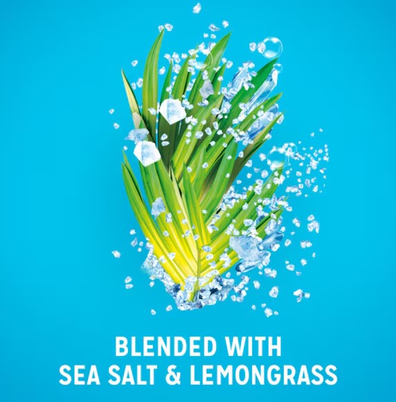 Radox Feel Active Sea Salt & Lemongrass Shower Gel 225ml