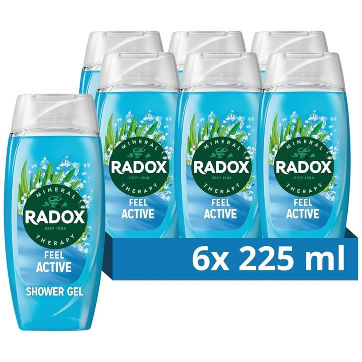Radox Feel Active Mood Boosting Shower Gel 225ml | Pack of 6
