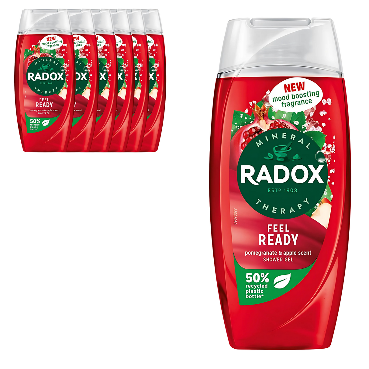 Radox Feel Ready Mood Boosting Shower Gel 225ml | Pack of 6