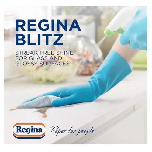 Regina Blitz Household Towel 3ply Kitchen Roll - Pack of 2 Rolls