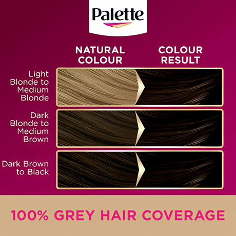 Schwarzkopf Palette 1-0 Deep Natural Black Hair Dye