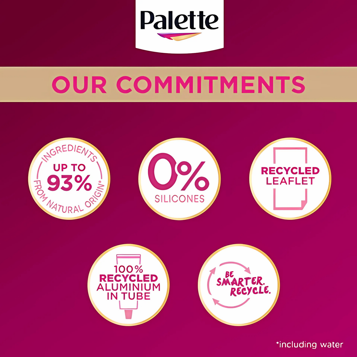 Schwarzkopf Palette Deluxe 6-0 Light Brown Hair Dye