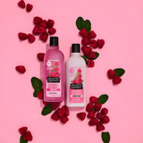 Alberto Balsam Sunkissed Raspberry Shampoo 300ml