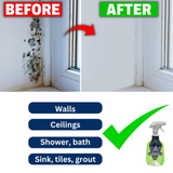 Astonish Specialist Mould & Mildew Blast 750ml | Pack of 12
