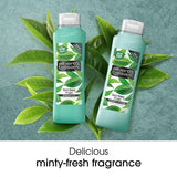 Alberto Balsam Tea Tree Tingle Conditioner 350ml