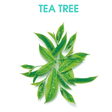 Alberto Balsam Tea Tree Tingle Shampoo 300ml