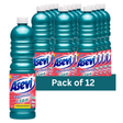 Asevi Cian Floor Cleaner 1 Litre | Pack of 12