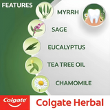 Colgate Herbal Toothpaste 100ml