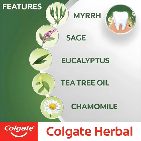 Colgate Herbal Toothpaste 100ml