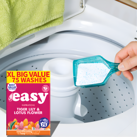 Easy Inspirations Laundry Washing Powder 5.1 Kg | 75 Washes