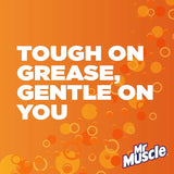 Mr Muscle Oven Cleaner 300ml