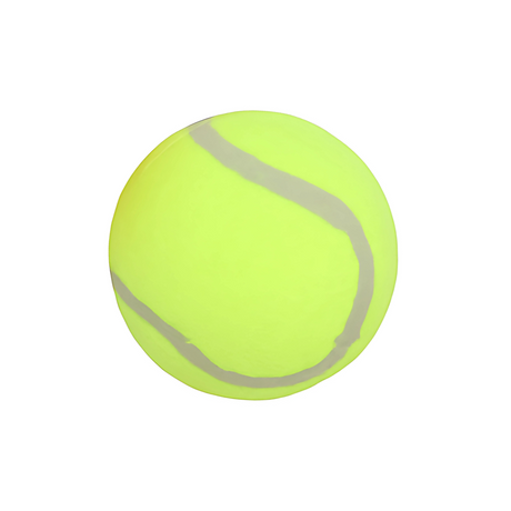 Pet Touch Doggy Play Balls (HT7870) | Pack of 2