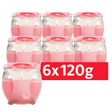 Petali Rose Scented Candle Jar 120g | Pack of 6