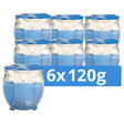 Petali Scented Cotton Flowers Candle Jar 120g | Pack of 6