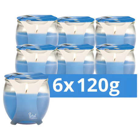 Petali Scented Cotton Flowers Candle Jar 120g | Pack of 6