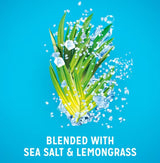 Radox Feel Active Sea Salt & Lemongrass Shower Gel 225ml