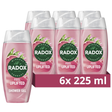 Radox Feel Uplifted Mood Boosting Shower Gel 225ml | Pack of 6