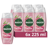 Radox Feel Uplifted Mood Boosting Shower Gel 225ml | Pack of 6