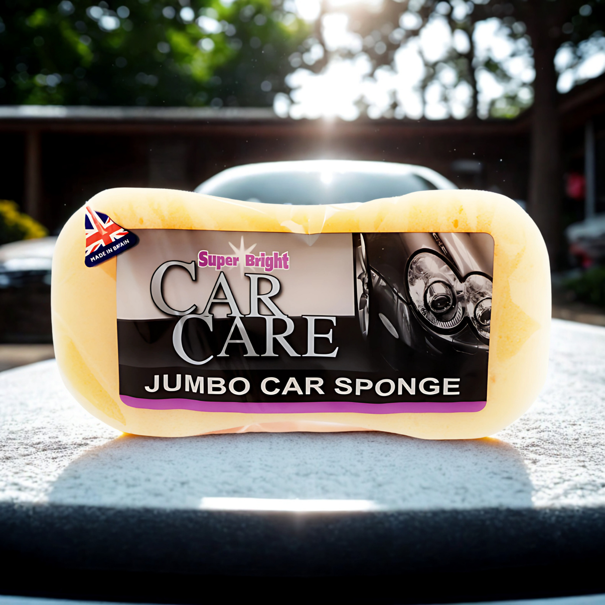 Super Bright Jumbo Car Sponge Pack of 12 